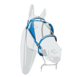 Horse Halter with Cloud