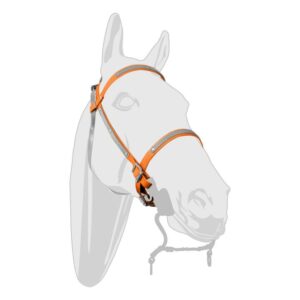Horse Halter