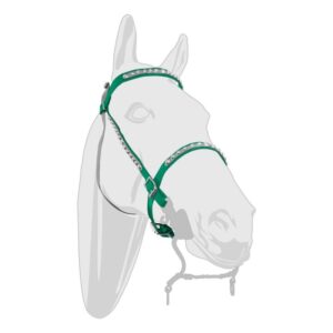 Horse Halter with Spots